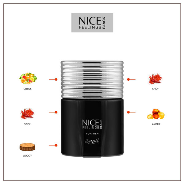 خرید عطر ادکلن نایس بلک